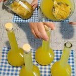 7 Meilleures Idées DIY pour Éloigner les Papillons de Votre Jardin