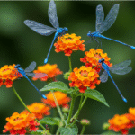 🌸🐦 Plantez Ces Fleurs pour Attirer les Colibris : Créez un Havre Fleuri pour les Joyaux Ailés de la Nature