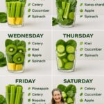 Le Pourpier : La Super Légume Vert aux Bienfaits Santé et aux Possibilités Culinaires