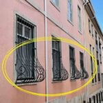 Le Guide Ultime pour Cultiver des Arachides sur la Terrasse : Conseils pour Débutants pour un Rendement Élevé et une Récolte Abondante