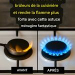 Ne Faites Plus l’Erreur de Jeter Vos Sachets de Thé : Ils Valent de l’Or Utilisés de Cette Façon…