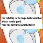Comment Nettoyer Votre Porte de Douche pour Qu’elle Reste Propre 3 Fois Plus Longtemps