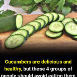 Croissants Maison Ultra Moelleux : Guide Complet pour un Petit-Déjeuner de Rêve