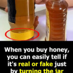 Pain Croustillant au Beurre à l’Ail — Le Plaisir Doré Qui Fait Fondre Tous les Cœurs