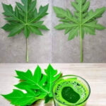 🛏️ Ne gardez jamais ces 8 choses dans votre chambre : elles attirent la pauvreté