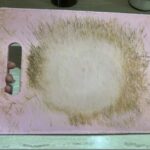 Nos oreilles révèlent le véritable état de notre santé : ce que votre corps essaie de vous dire