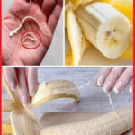 Ne jetez plus jamais les cendres de la cheminée : elles pourraient être plus utiles que vous ne le pensez