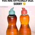 Ce que la couleur de votre urine révèle sur votre santé – Un signal corporel étonnamment précis que vous ne devriez jamais ignorer