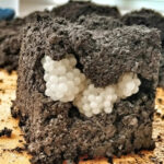 Four et cuisinière brillants : la méthode naturelle qui élimine toute la graisse et la saleté — recette complète