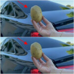 Ce que vous voyez en premier révèle un aspect caché de votre personnalité