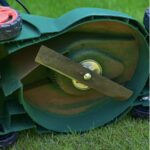 Pourquoi devriez-vous toujours garder une cuillère dans votre congélateur