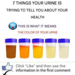 Voyez cet objet ? Si vous le reconnaissez, vous êtes officiellement vintage