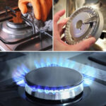 Le mystère des nids de vers trompettes : souvenirs d’enfance et curiosité naturelle