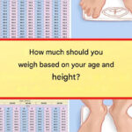 Avoir ce groupe sanguin vous ferait-il vraiment vivre plus longtemps ? Analyse complète d’un mythe populaire entre science, statistiques et réalité biologique