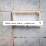 J’ai trouvé cet objet étrange lors d’un vide-grenier… et presque personne n’a su dire ce que c’était