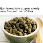 🧀 L’Énigme du Vintage Presto Aluminum Cheese Slicer