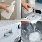 Quand le cadeau d’un inconnu devient un délice : l’identifier, l’apprivoiser et le savourer avec intelligence