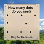 Je pensais que c’était un jouet sur le sol… jusqu’à ce que ça bougeLa réalité terrifiante de la chenille à selle et pourquoi il ne faut jamais toucher un « objet » inconnu à l’intérieur