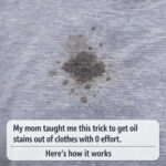 Cette résine naturelle est très chère car elle est incroyablement puissante… et la plupart des gens ignorent pourquoi