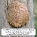 Saviez-vous que se réveiller à 3 ou 4 heures du matin est un signe clair de… quelque chose ? Décryptage complet et sérieux.