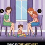 🌿 Les Câpres : Petits Bourgeons, Grande Saveur