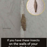 Manger des Œufs Durs le Matin : Les Médecins Révèlent des Effets Surprenants sur le Corps et l’Esprit