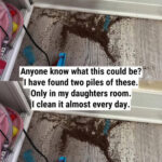 Augmentation des pensions 2025-2026 : calendrier, scénarios et enjeux réels pour le pouvoir d’achat des retraités