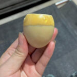 Les Capsules Mystérieuses Accrochées à Vos Murs : La Vie Secrète de la Teigne à Fourreau dans Nos Maisons