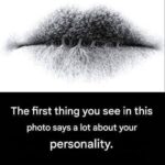 Quel Côté de la Clôture Doit Faire Face au Voisin ? Règles, Lois, Étiquette et Réalités Souvent Méconnues