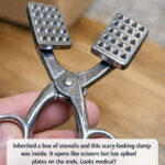 Le centime à 85 000 dollars : comment une simple pièce oubliée peut cacher une fortune et transformer votre regard sur l’argent