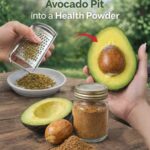 L’étrange pince à pointes héritée du passé : objet médical inquiétant ou outil domestique oublié ?