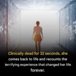 Quel Côté de la Clôture Doit Faire Face au Voisin ? Règles, Lois, Étiquette et Réalités Souvent Méconnues