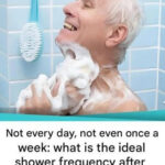 Tremper Ses Pieds Dans du Vinaigre Une Fois Par Semaine : Un Rituel Naturel Aux Bienfaits Surprenants Pour la Santé des Pieds et le Bien-Être Général