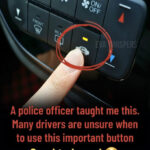 Derrière la Première Dame : L’Histoire Méconnue du Lien Profond Entre Melania Trump et Sa Sœur Ines Knauss