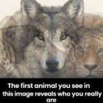 Ni Tous Les Jours, Ni Une Fois Par Semaine : La Fréquence Idéale de la Douche Après 65 Ans et les Secrets d’une Peau Qui Vieillit en Bonne Santé