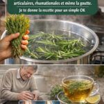 Amuse-gueules de légumes croustillants : le secret d’une cuisine saine, gourmande et équilibrée au quotidien