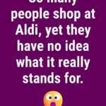 Multiplier les Hortensias Comme un Expert : Le Guide Ultime, Détaillé et Profond pour Transformer une Simple Bouture en Arbuste Florissant