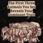 Ne voyagez plus sans comprendre ces règles essentielles : ce que vos chaussures révèlent vraiment sur la sécurité, la santé et l’expérience de voyage en 2026