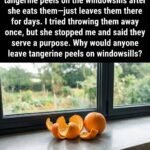 Eau de rose maison : secret ancestral de beauté, bien-être émotionnel et soin naturel complet pour la peau et l’esprit