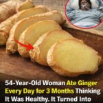 Le bouquet d’œufs en tulipes : transformer une simple recette en œuvre culinaire élégante, gourmande et visuellement irrésistible