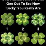 L’illusion du propriétaire invisible : comment un simple puzzle avec une chèvre révèle les secrets de votre cerveau, de votre attention et de votre intelligence visuelle