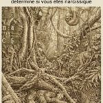 Tout le Monde Ignore Cette Racine Rouge au Marché… Pourtant Elle Peut Transformer la Pression Artérielle, l’Énergie, le Cerveau et la Digestion Naturellement