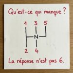 Ne Jetez Plus Votre Argent : Comment Cultiver du Gingembre à l’Infini Chez Vous et Transformer Votre Quotidien