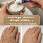 Versez Du Béton Dans Du Papier Aluminium Froissé Avec Un Ingrédient Secret Et Le Résultat Devient Une Œuvre De Jardin Absolument Époustouflante