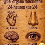 « Original ou contrefaçon ? Nous avons des conseils infaillibles pour vous aider à les distinguer. »